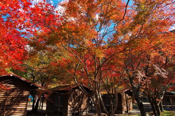 秋に訪れたい、おすすめのキャンプ場 (東日本編）