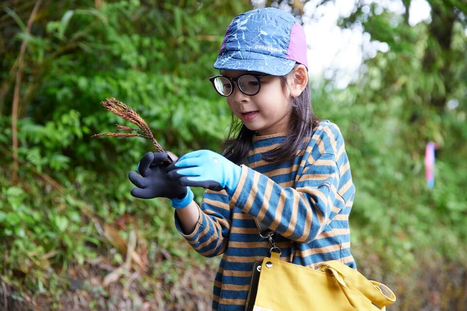 スギの葉を集める子ども