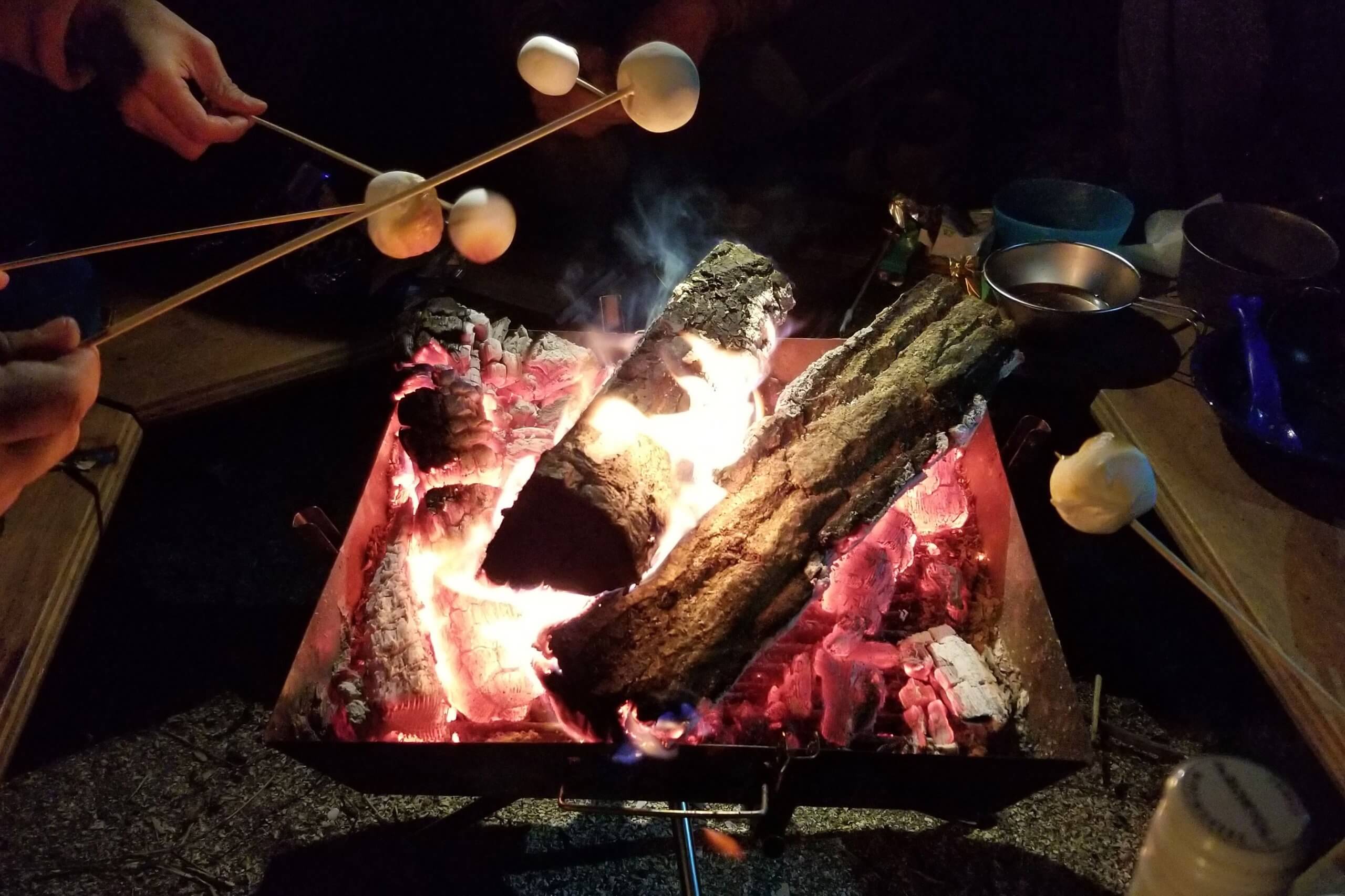 焚き火を囲んで焼きマシュマロを楽しむ様子