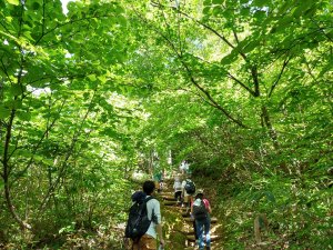 キャンプ×ハイキングが楽しめる、おすすめのキャンプ場（東日本編）