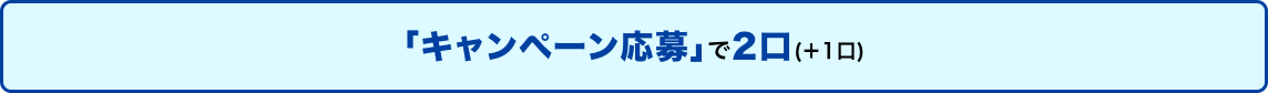 「キャンペーン応募」で2口(＋1口)