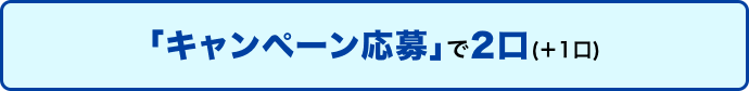 「キャンペーン応募」で2口(＋1口)