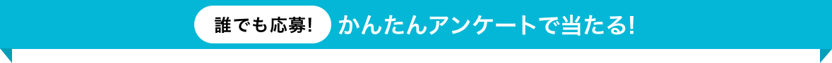 誰でも応募！かんたんアンケートで当たる!