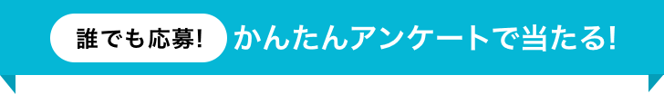 誰でも応募！かんたんアンケートで当たる!