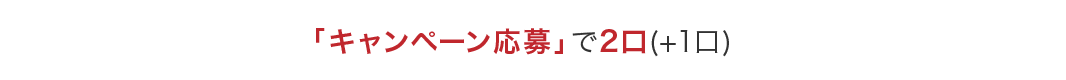 「キャンペーン応募」で2口(＋1口)
