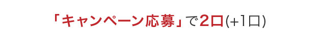 「キャンペーン応募」で2口(＋1口)