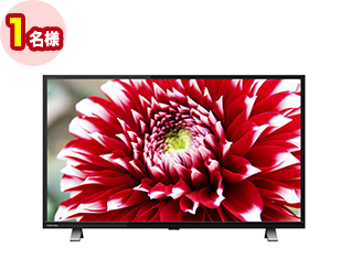 東芝 液晶テレビ REGZA 32V34