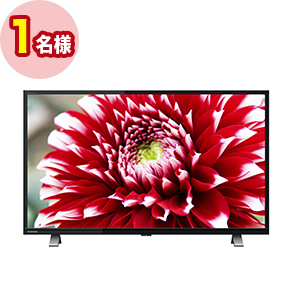 東芝 液晶テレビ REGZA 32V34