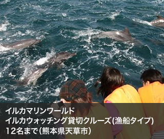 イルカマリンワールド イルカウォッチング貸切クルーズ(漁船タイプ)