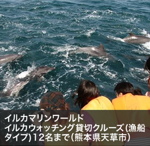 イルカマリンワールド イルカウォッチング貸切クルーズ(漁船タイプ)