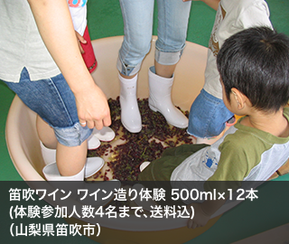笛吹ワイン ワイン造り体験 500ml×12本