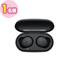 SONY フルワイヤレスイヤホン[マイク対応 /Bluetooth]（WFXB700BZ）