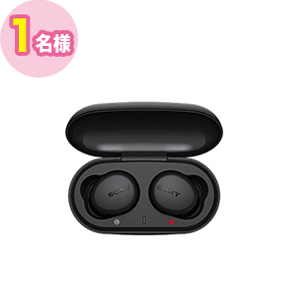 SONY フルワイヤレスイヤホン[マイク対応 /Bluetooth]（WFXB700BZ）