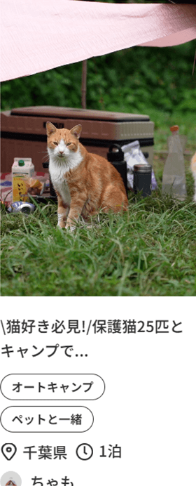 ＼猫好き必見❕／保護猫25匹とキャンプで…