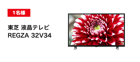 東芝 液晶テレビREGZA 32V34