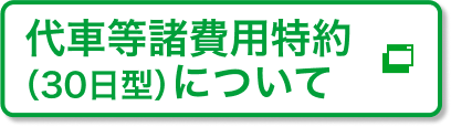 代車等諸費用特約 (30日型)について