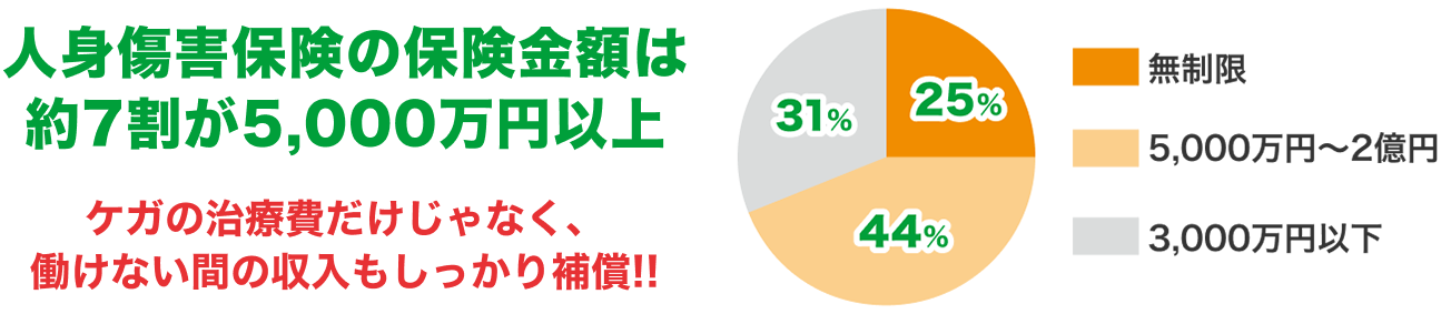 人身傷害保険の保険金額は約7割が5,000万円以上 ケガの治療費だけじゃなく、働けない間の収入もしっかり補償!!