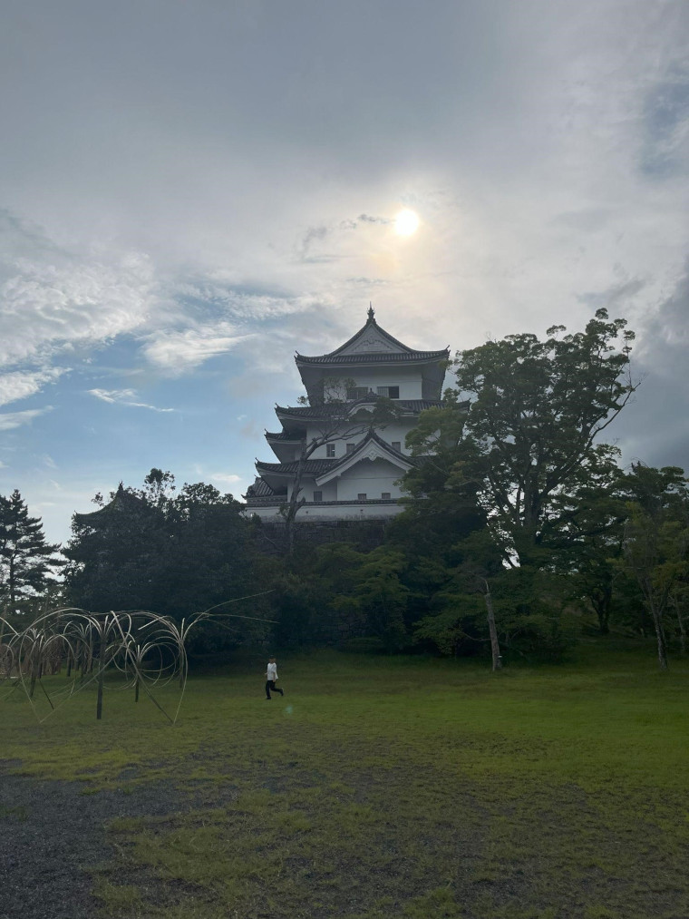 少し引きで見る伊賀上野城全体の写真