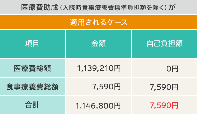 医療費助成(入院時食事療養費標準負担額を除く)が適用されるケース