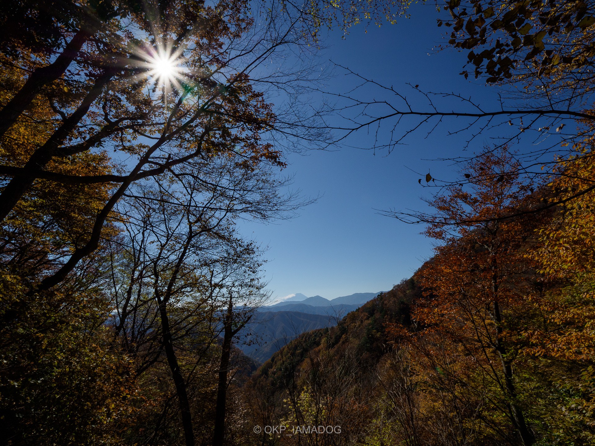 2017.11雲取山