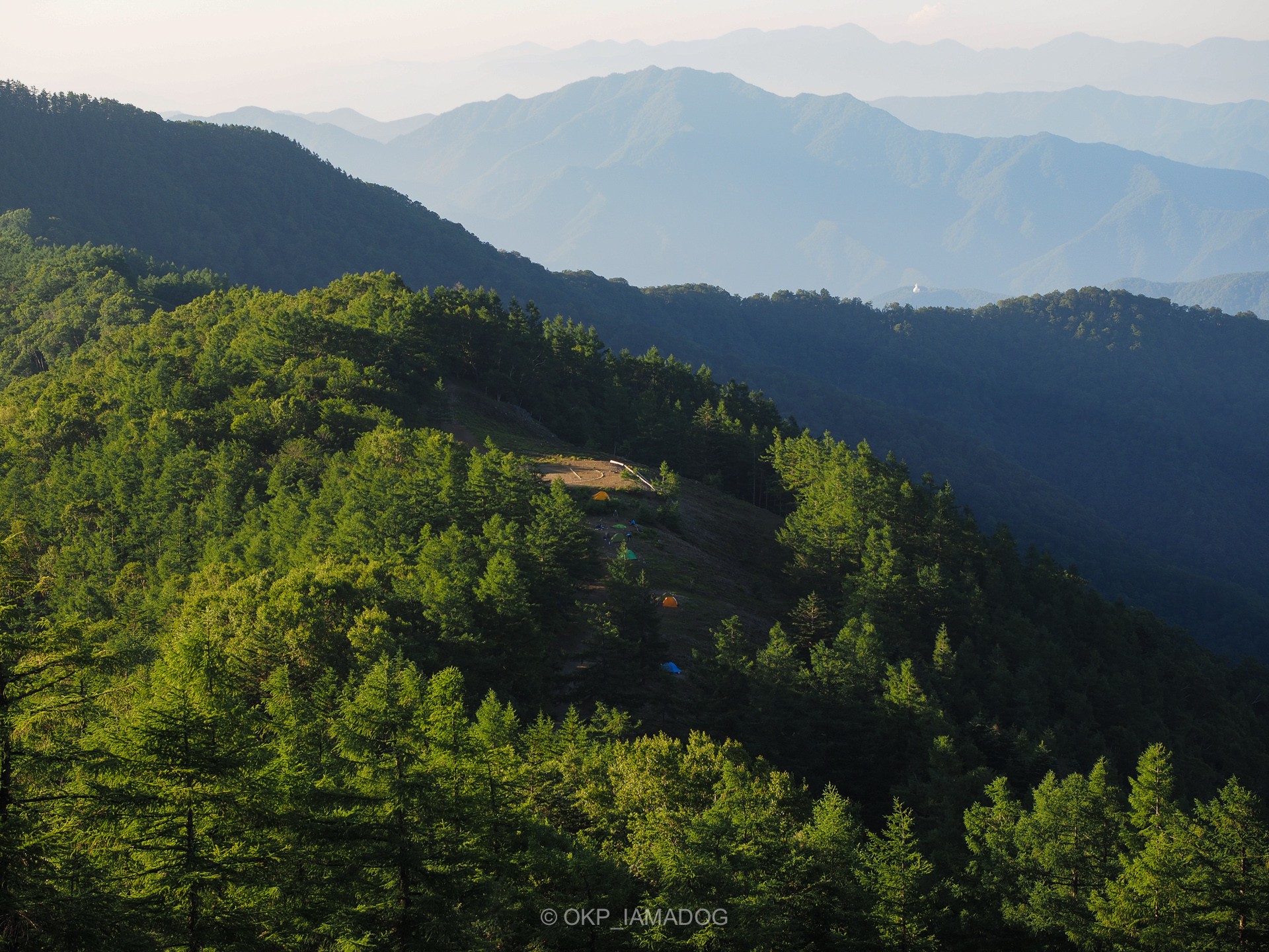 201407雲取山