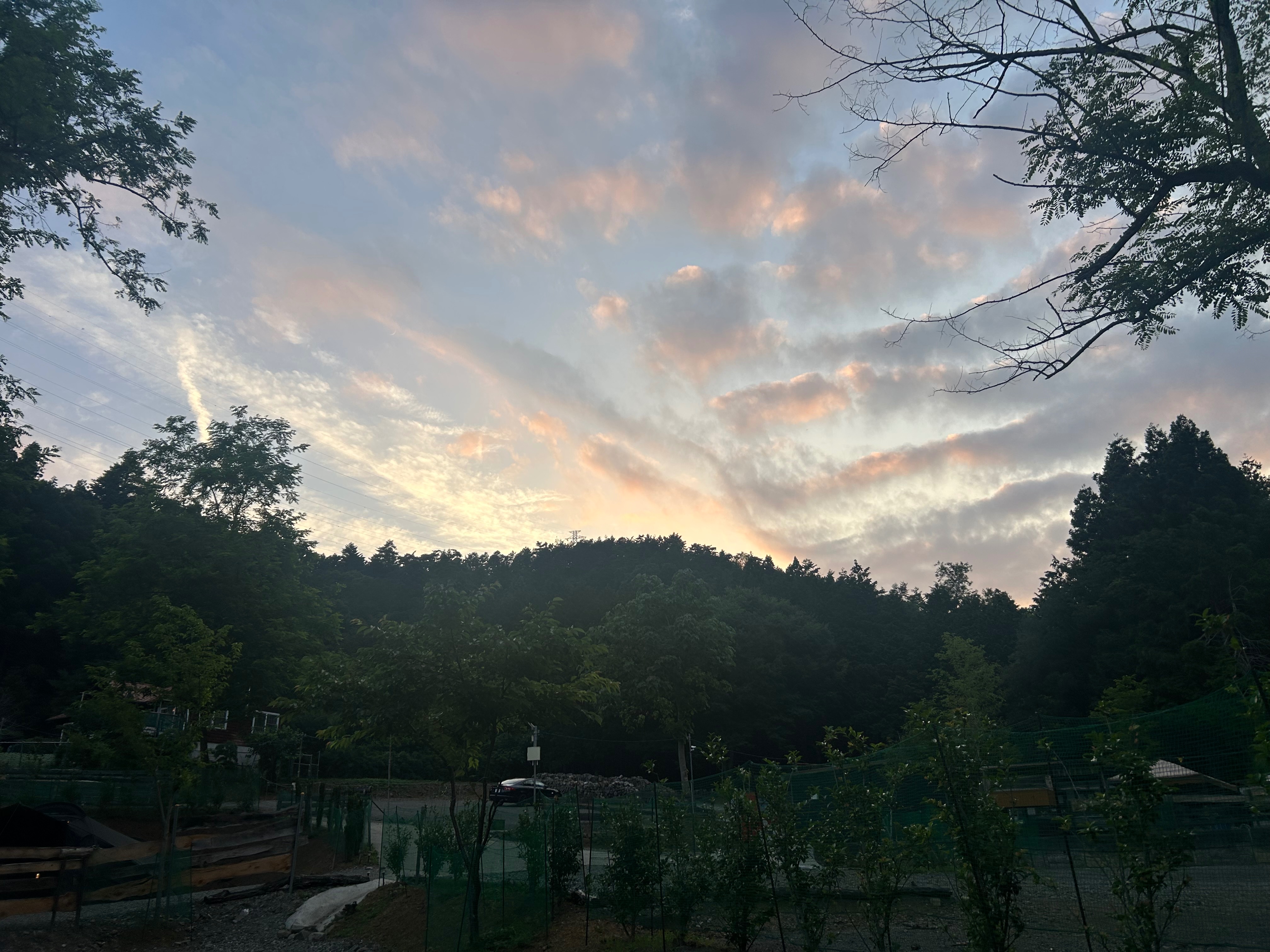 癒されまくり(^.^)