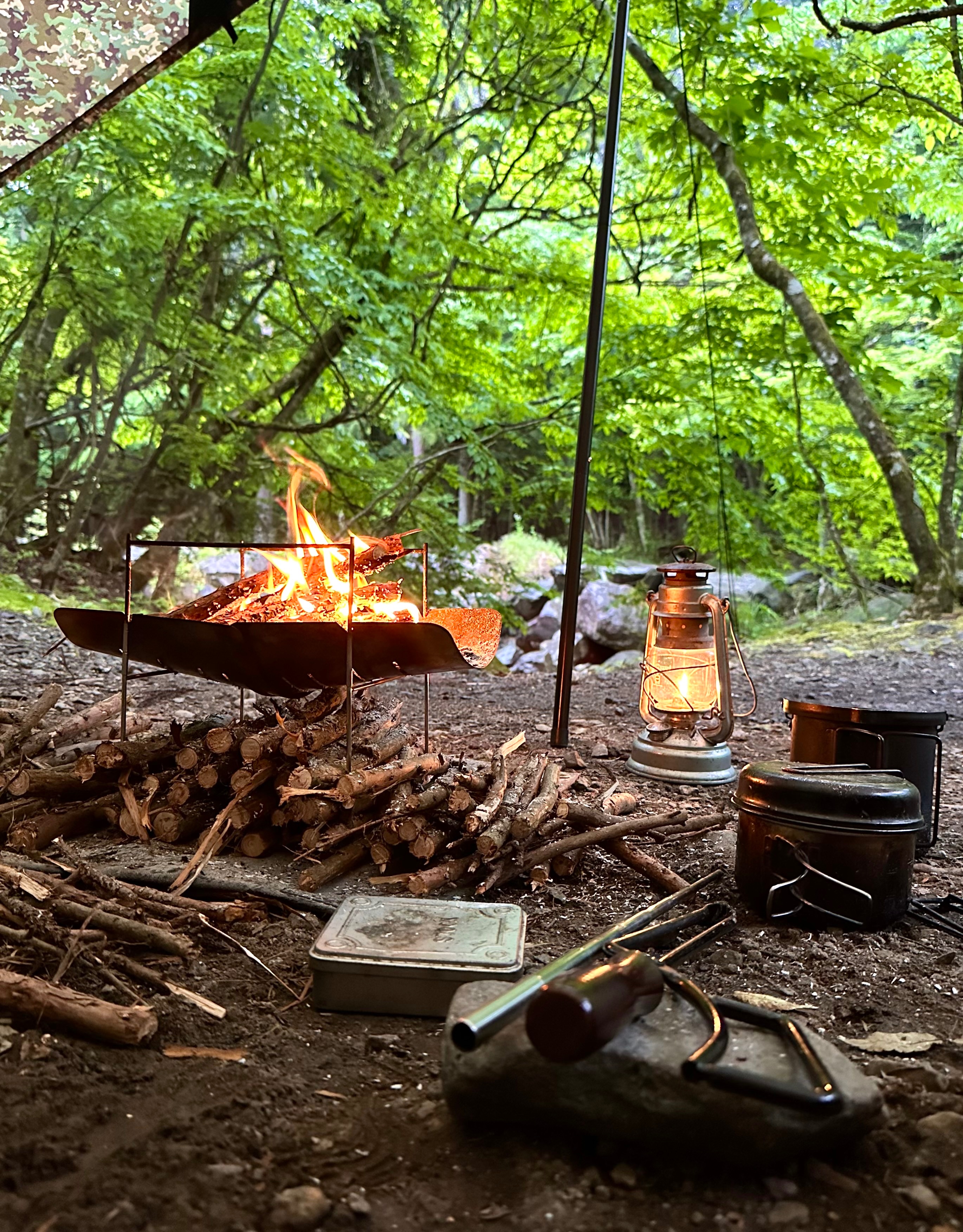 新緑に道志の森でソロキャンプ！