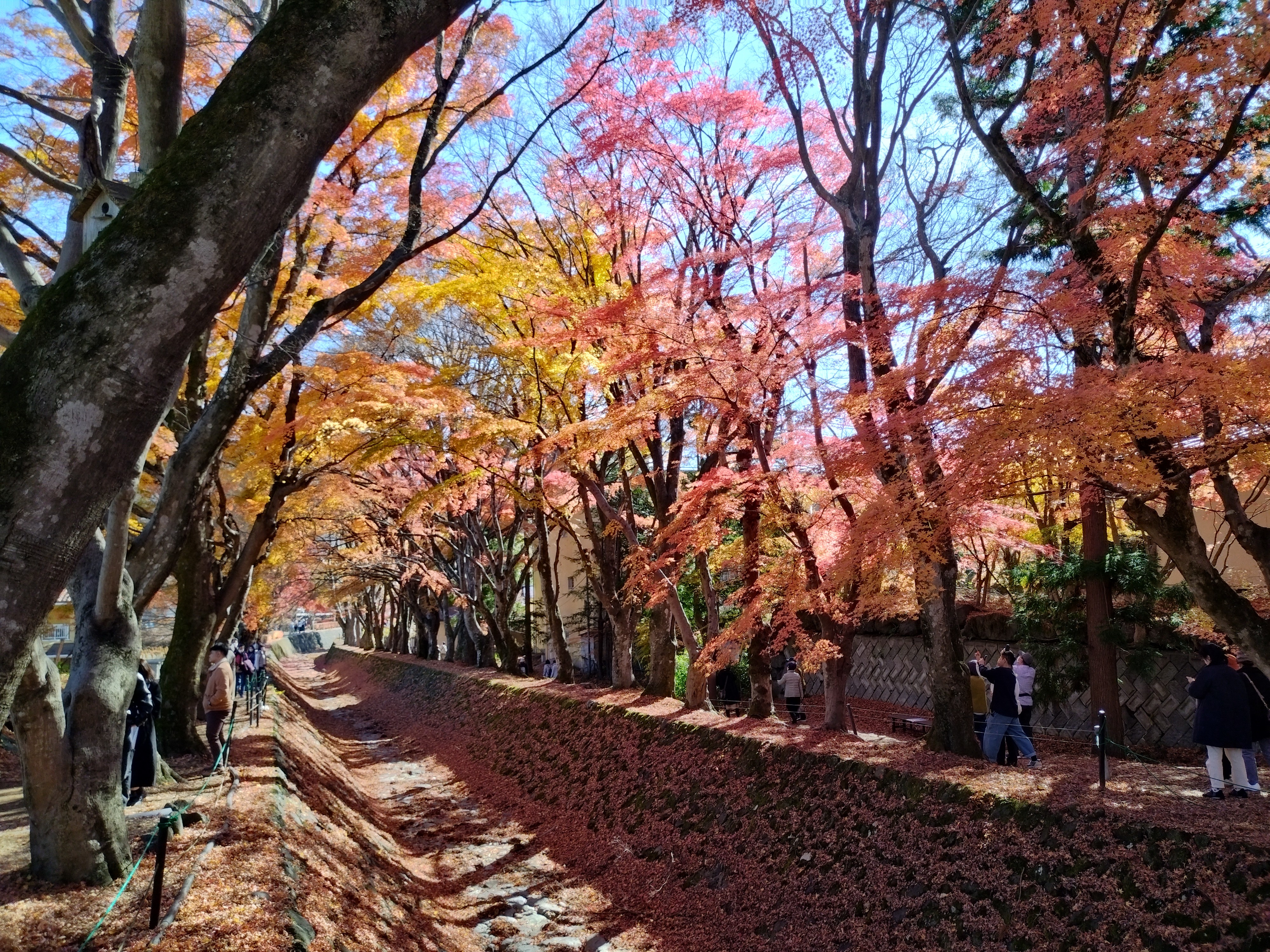 秋の富士山　絶景とグルメ