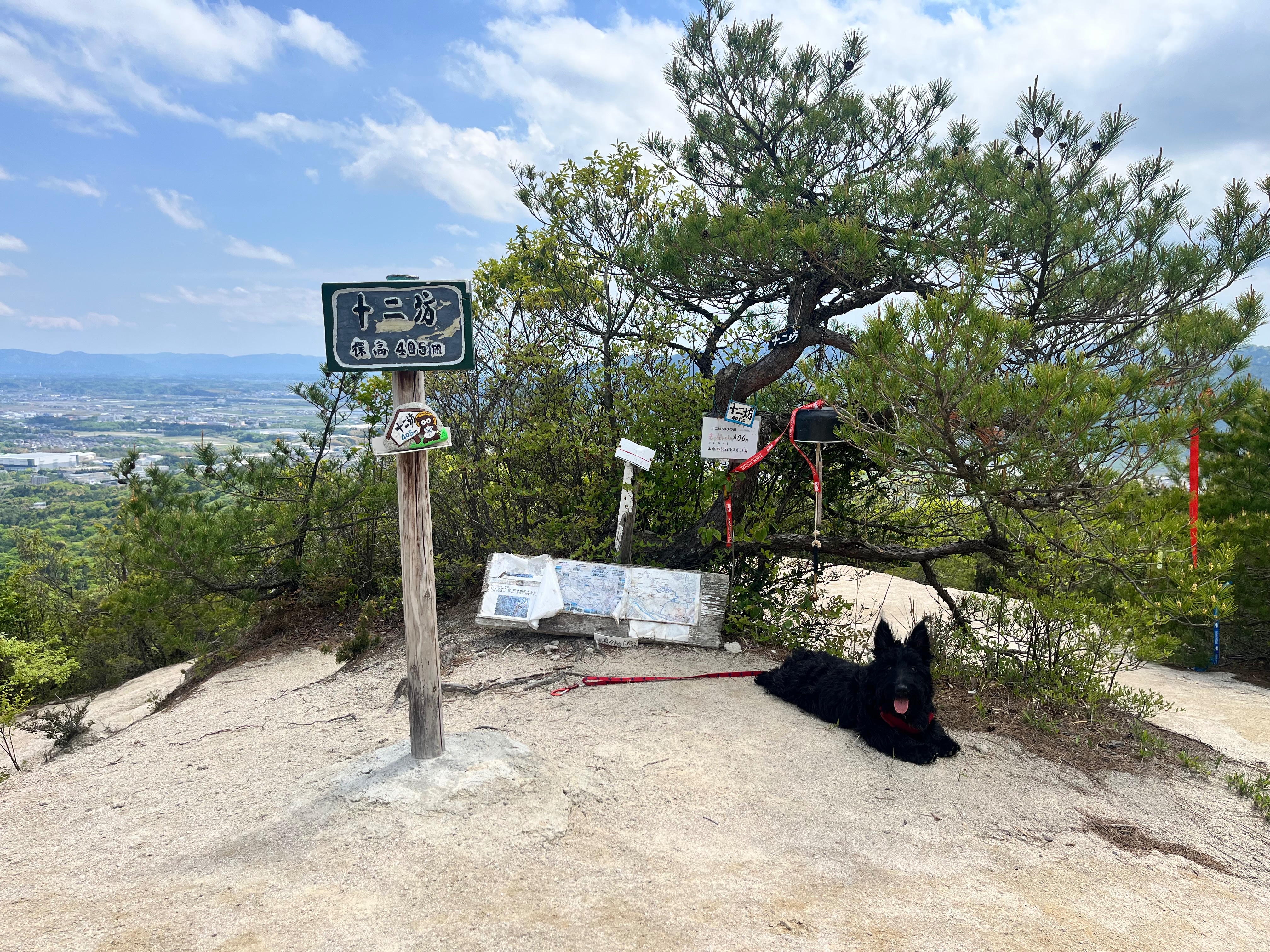 登山