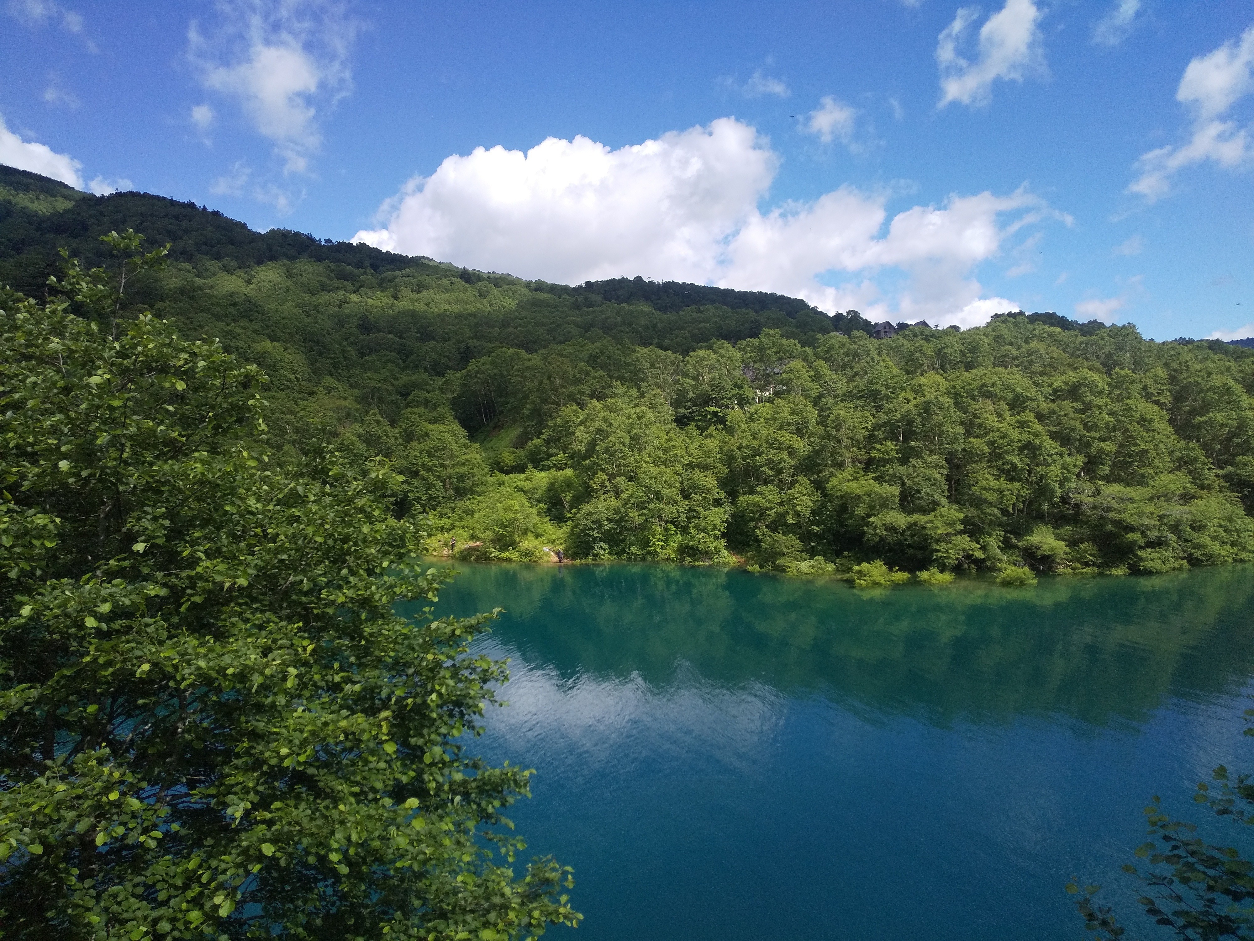 湖畔でのんびりな1日を