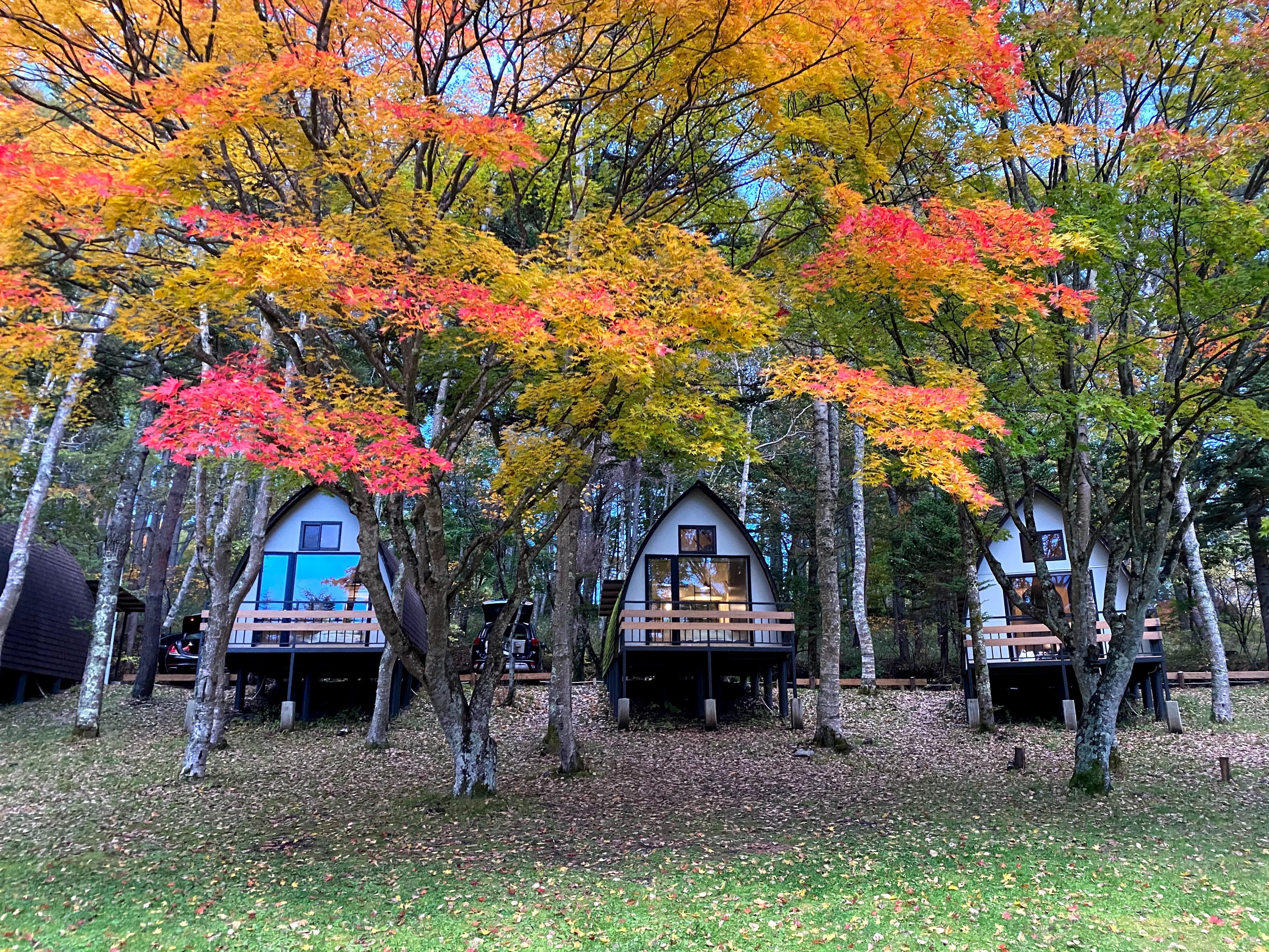 紅葉の蓼科湖