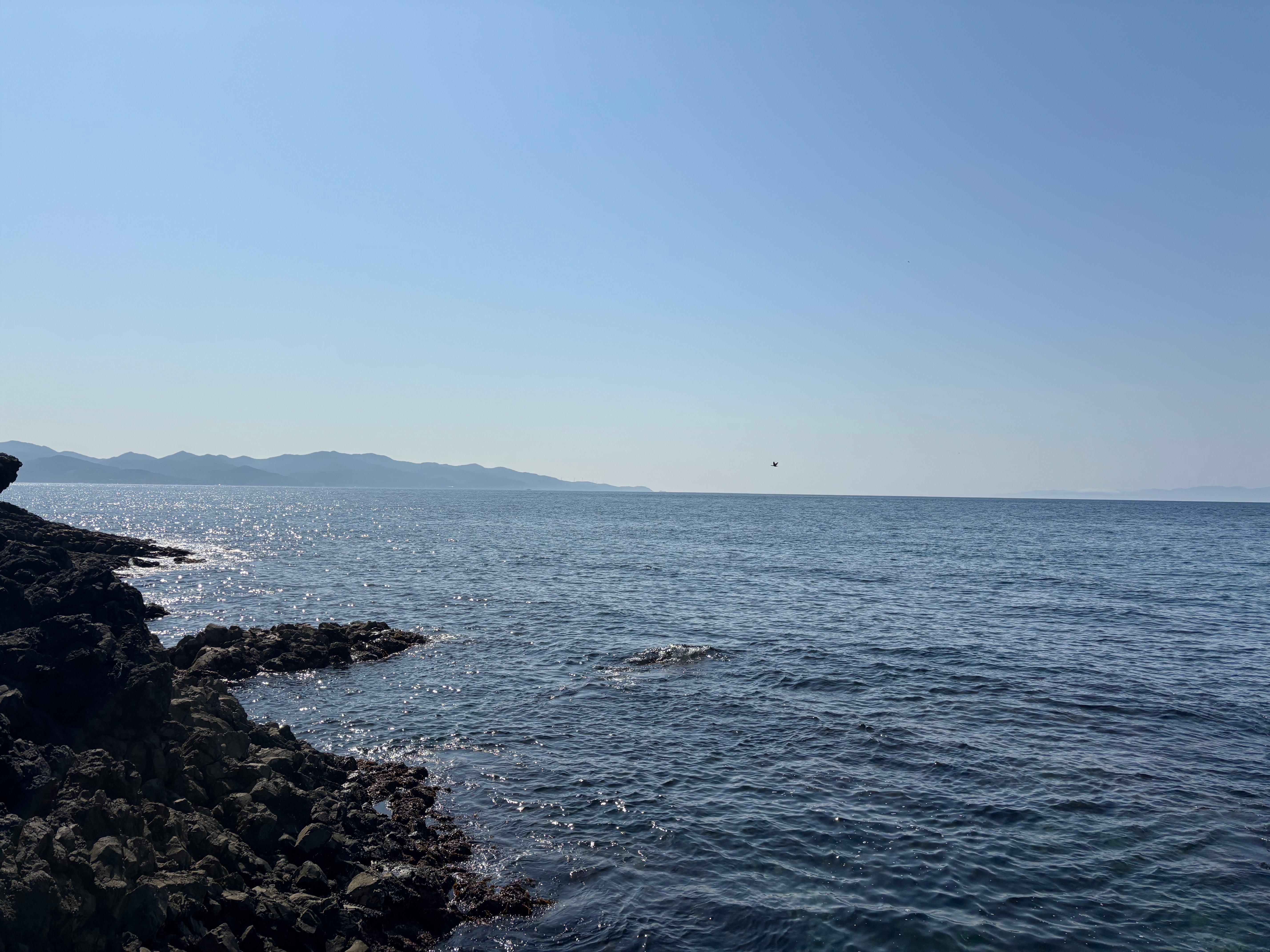 海