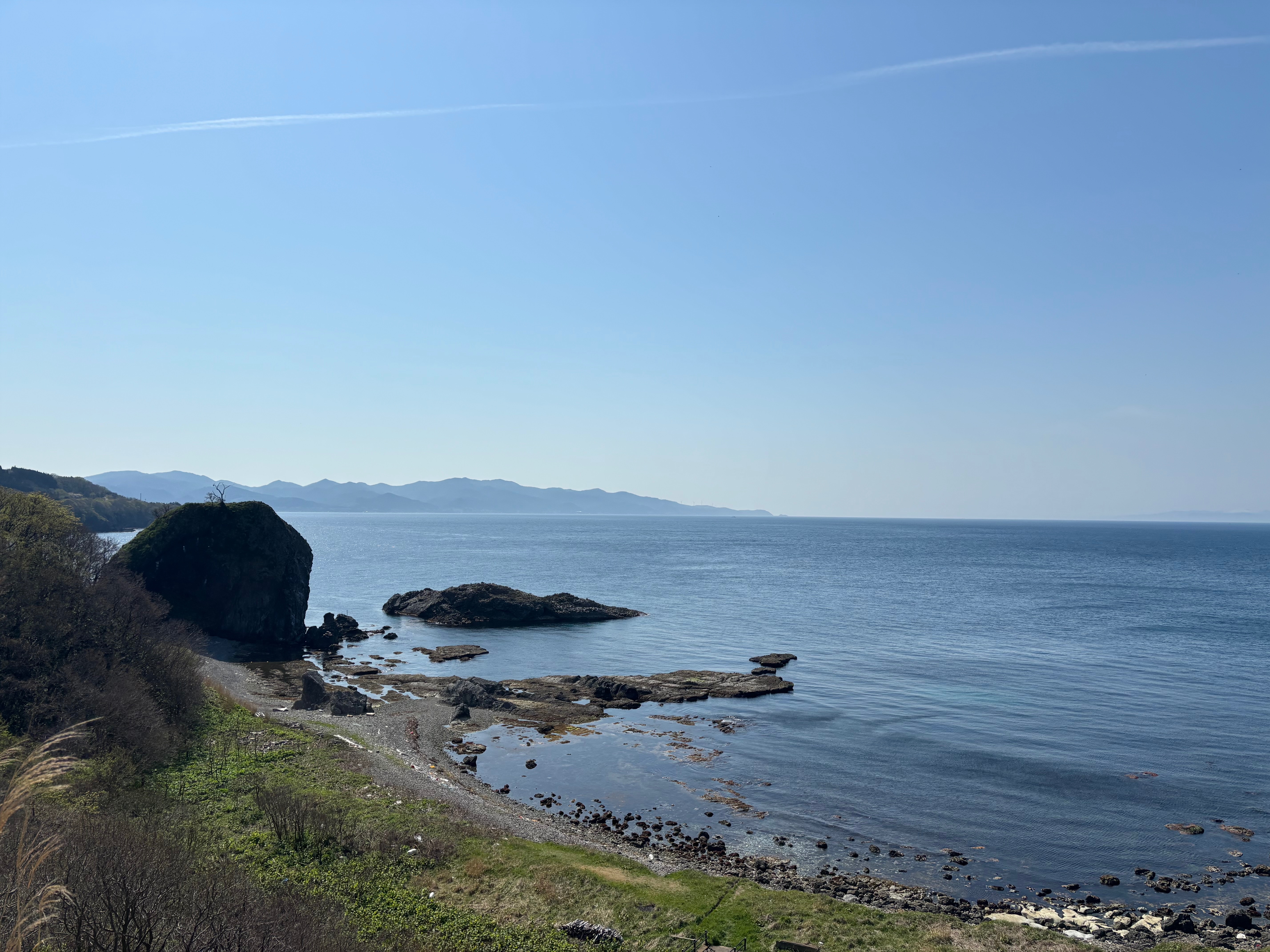 海