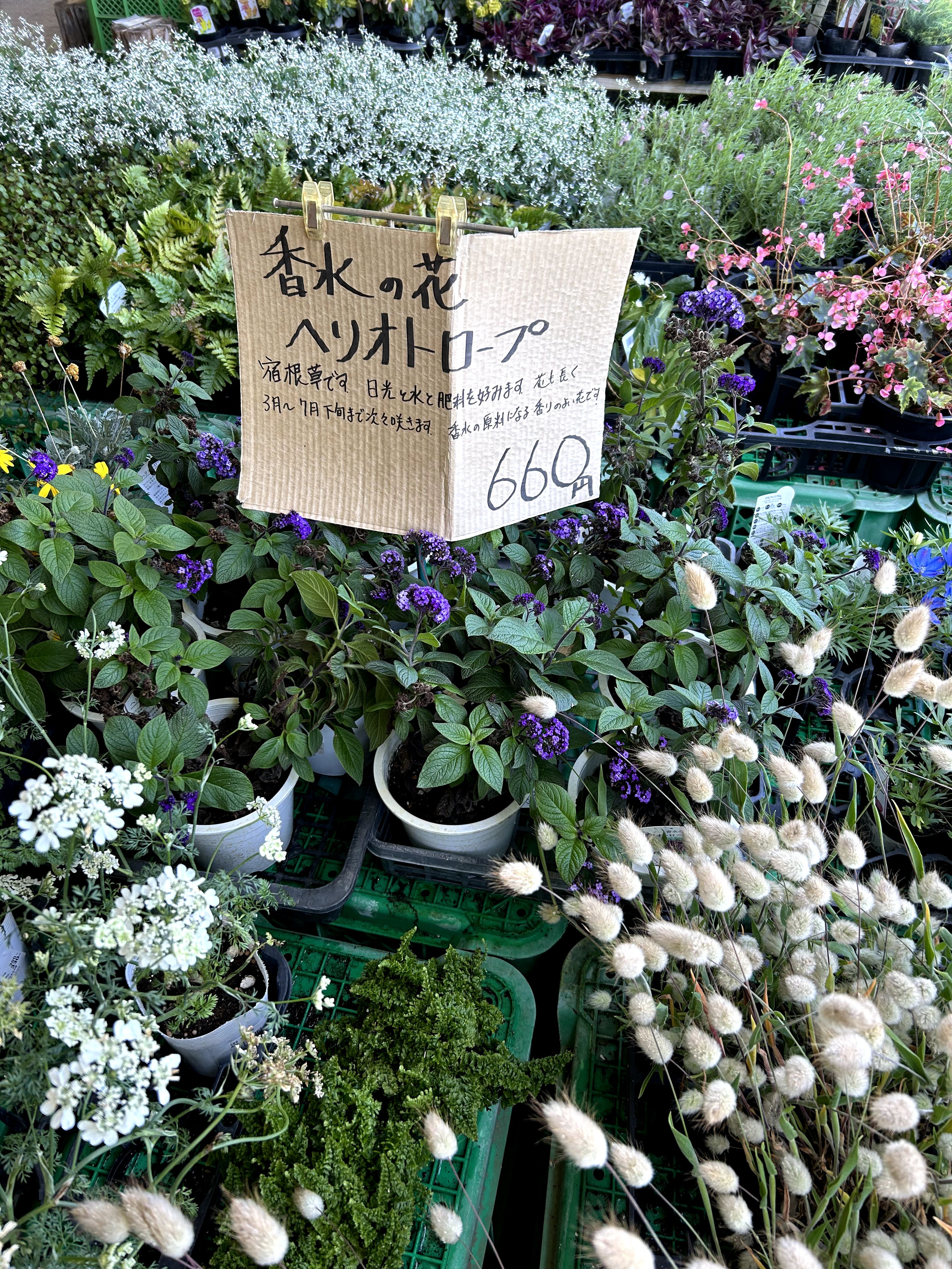 道の駅 ローズマリー公園