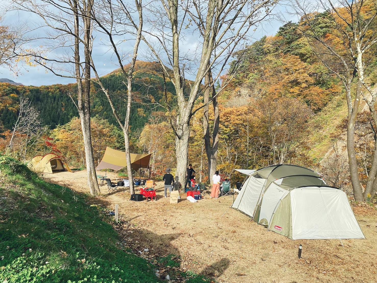 autumn style with snow peak