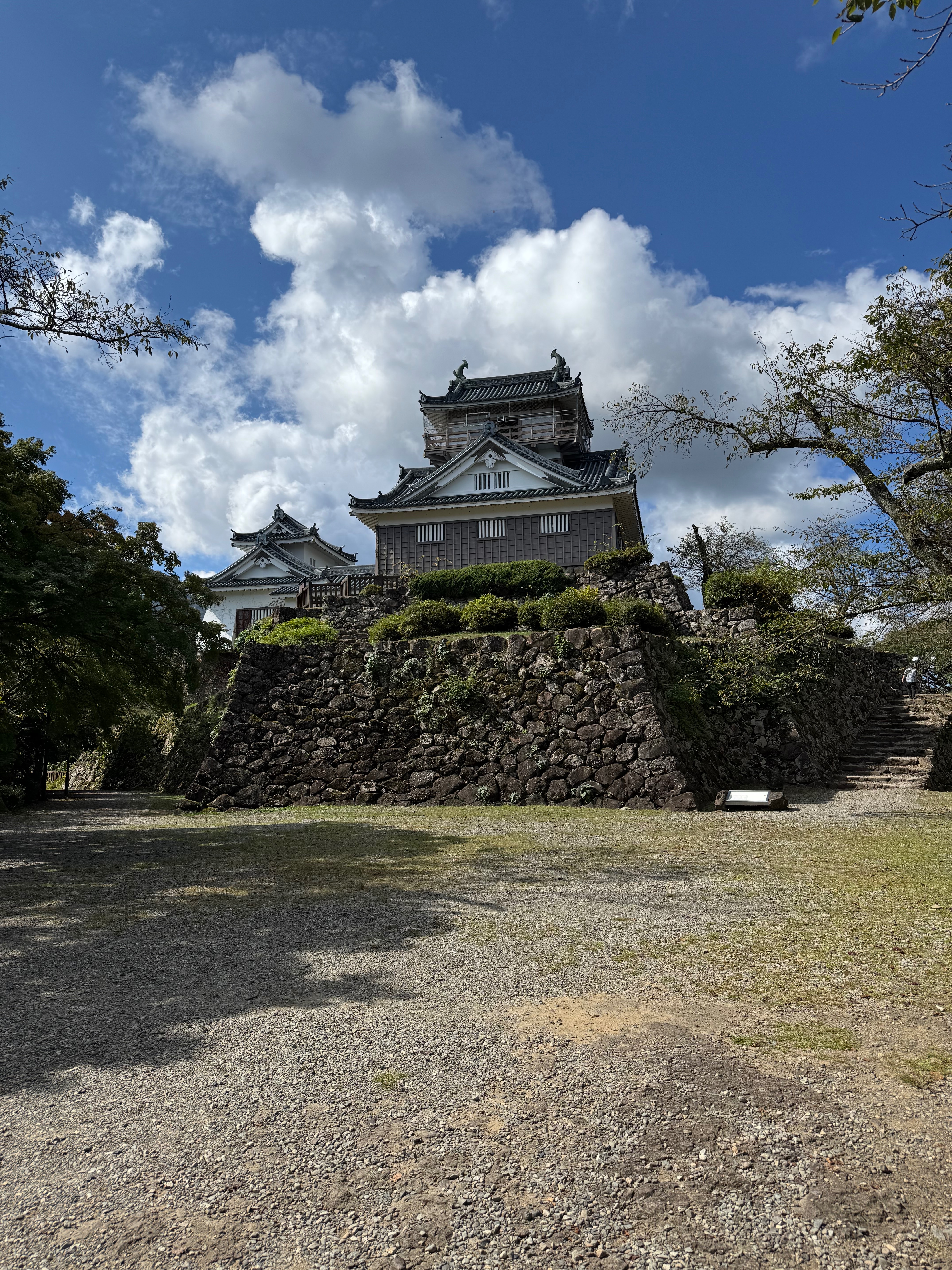 越前大野城