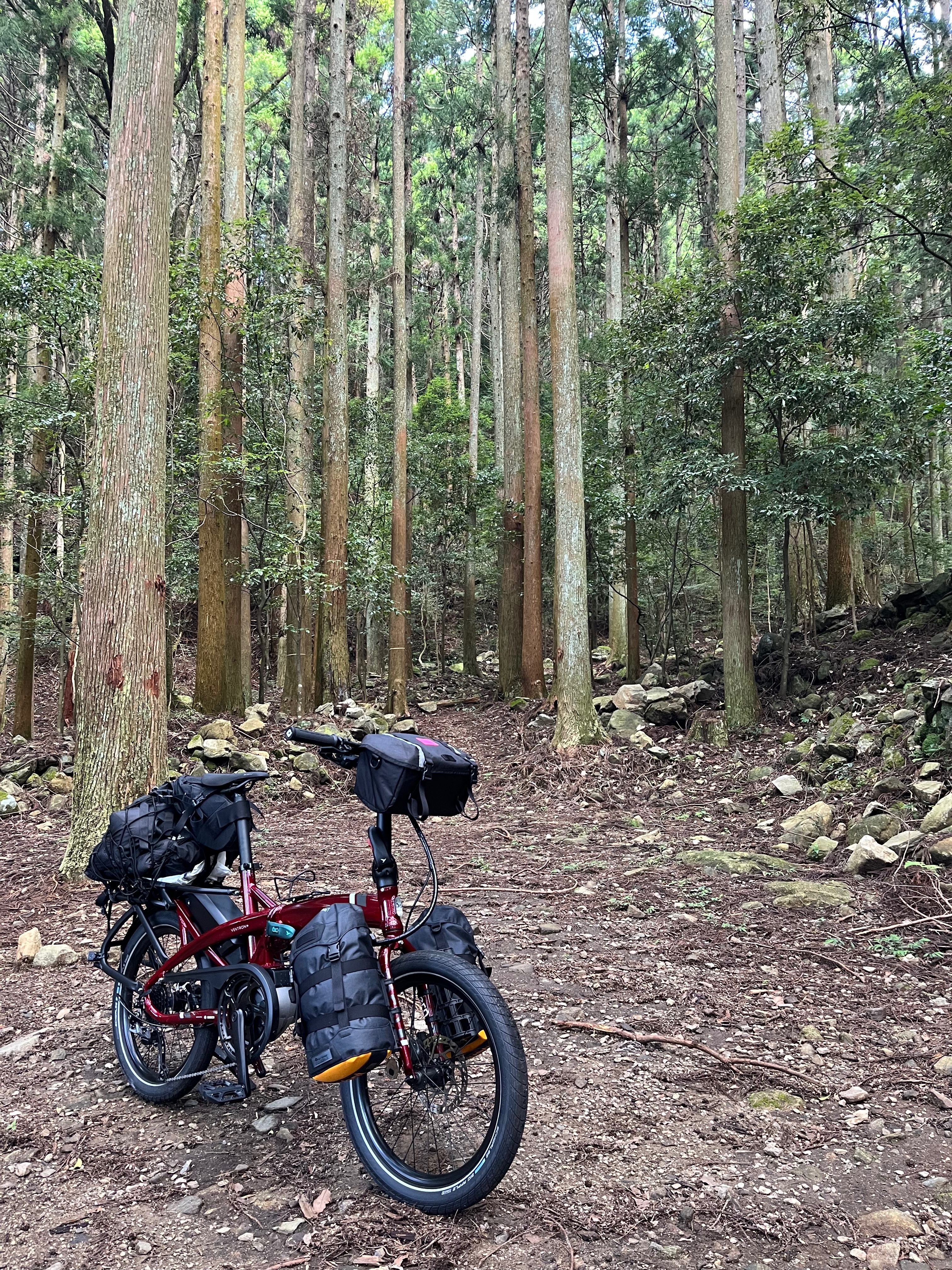 自転車ハンモックキャンプ