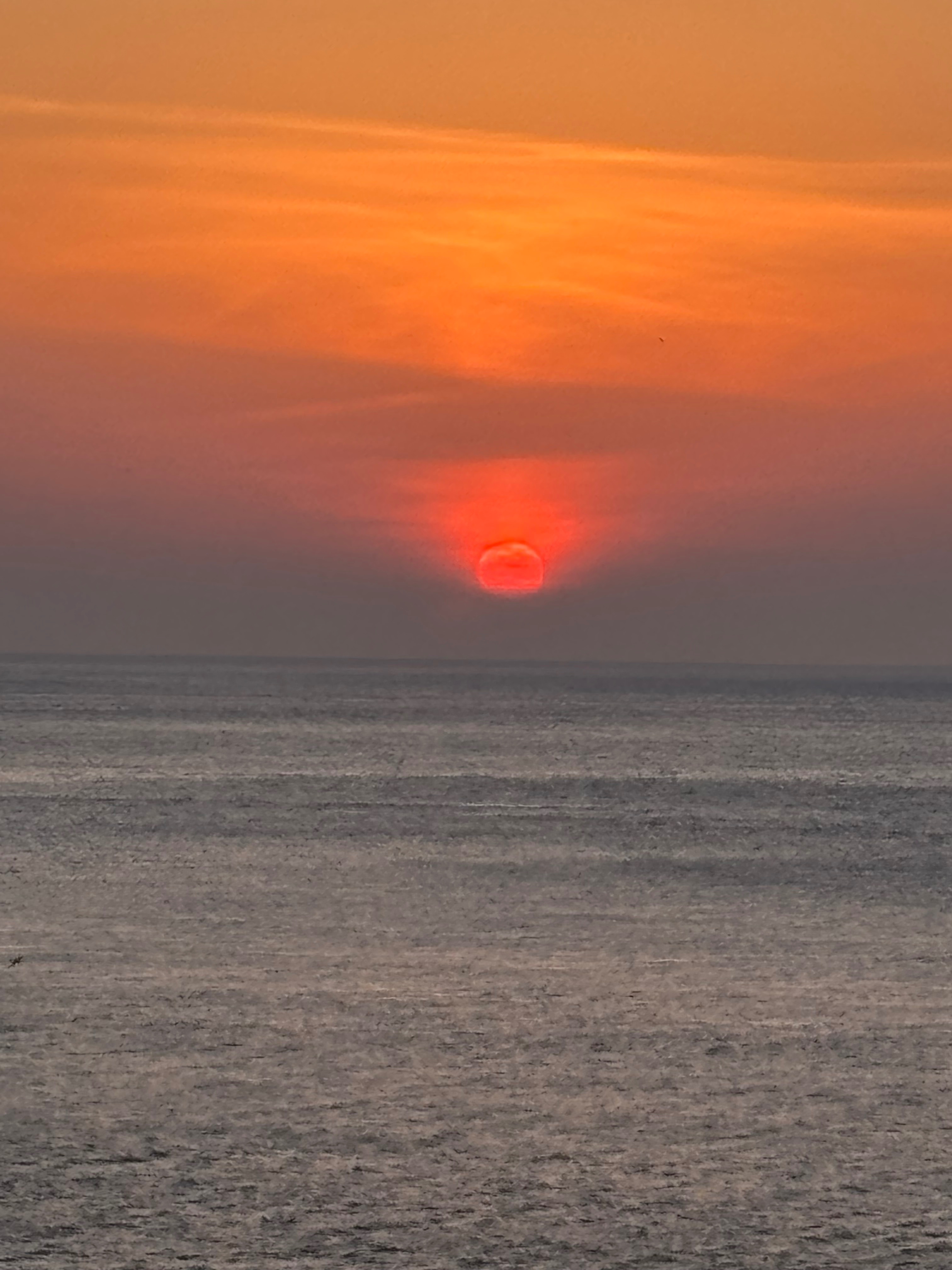 夕日