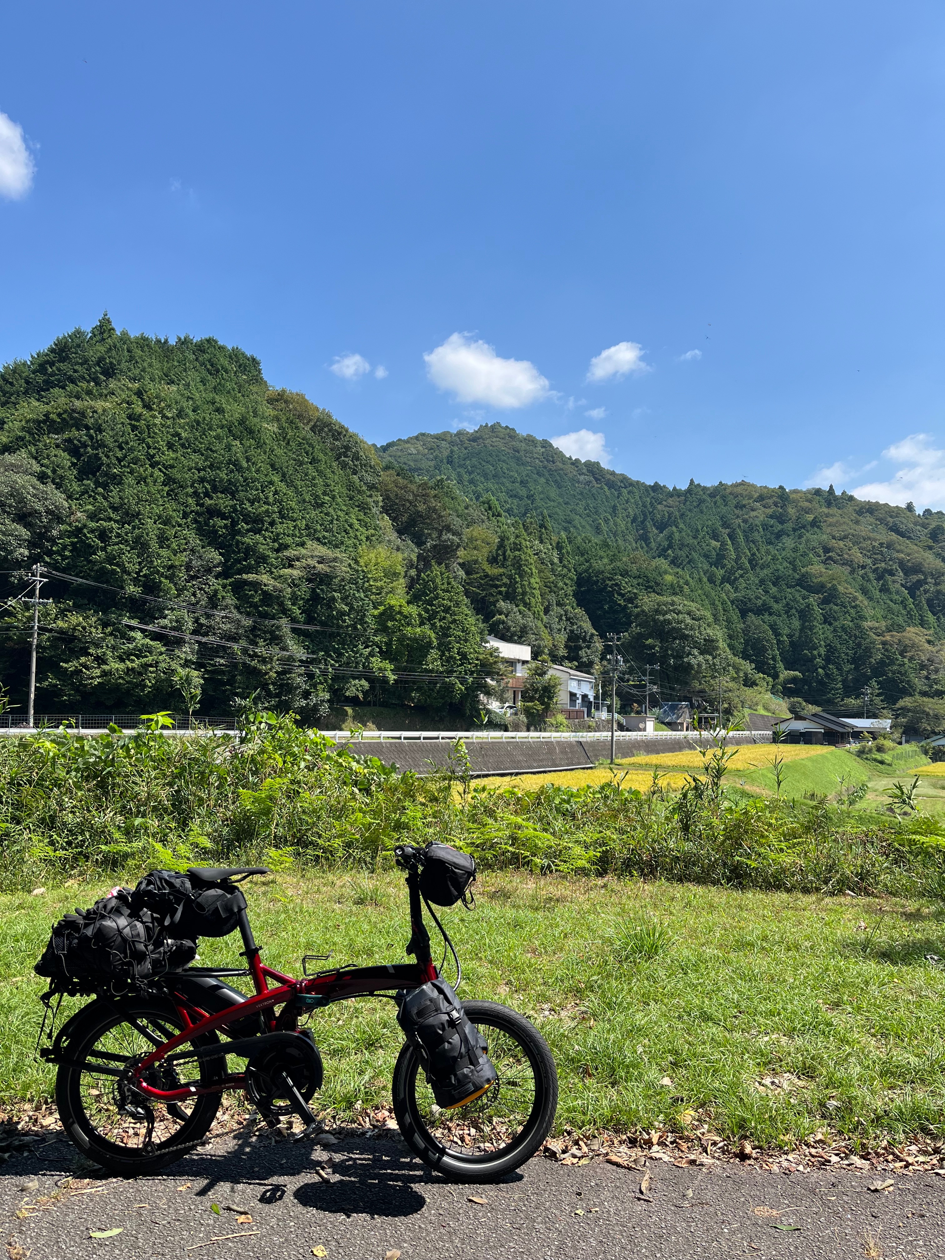 自転車ハンモックキャンプ