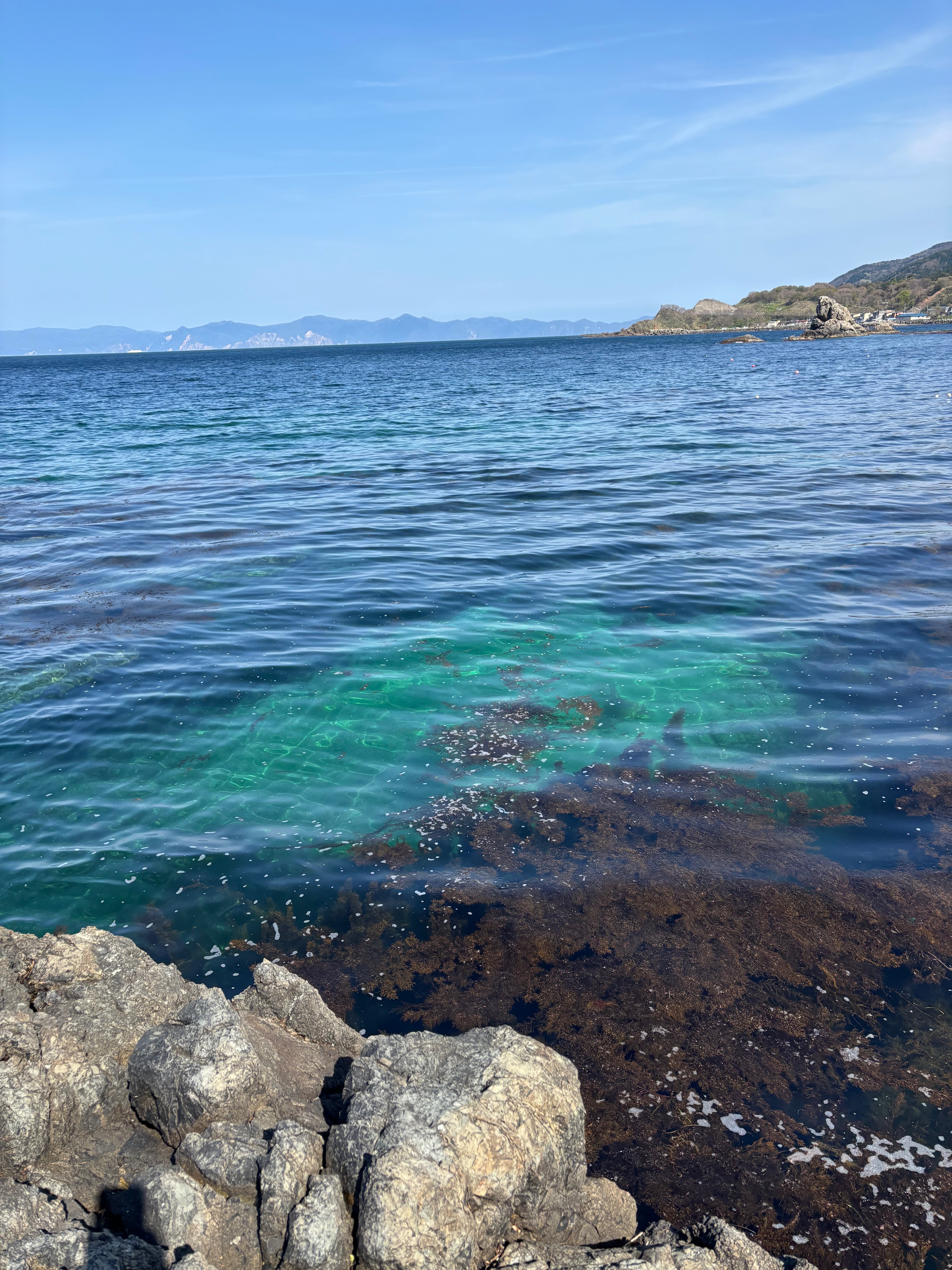 海