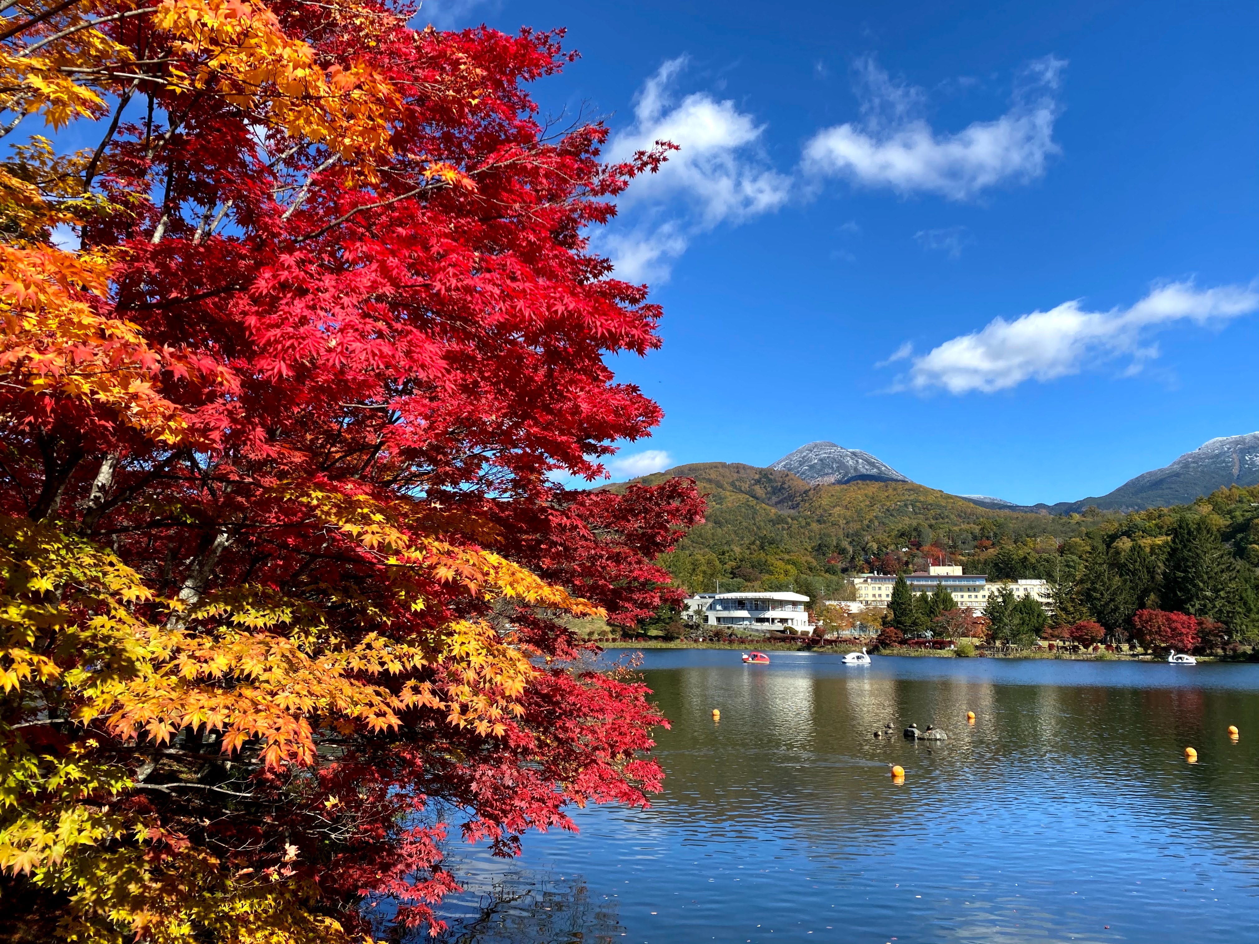 紅葉の蓼科湖