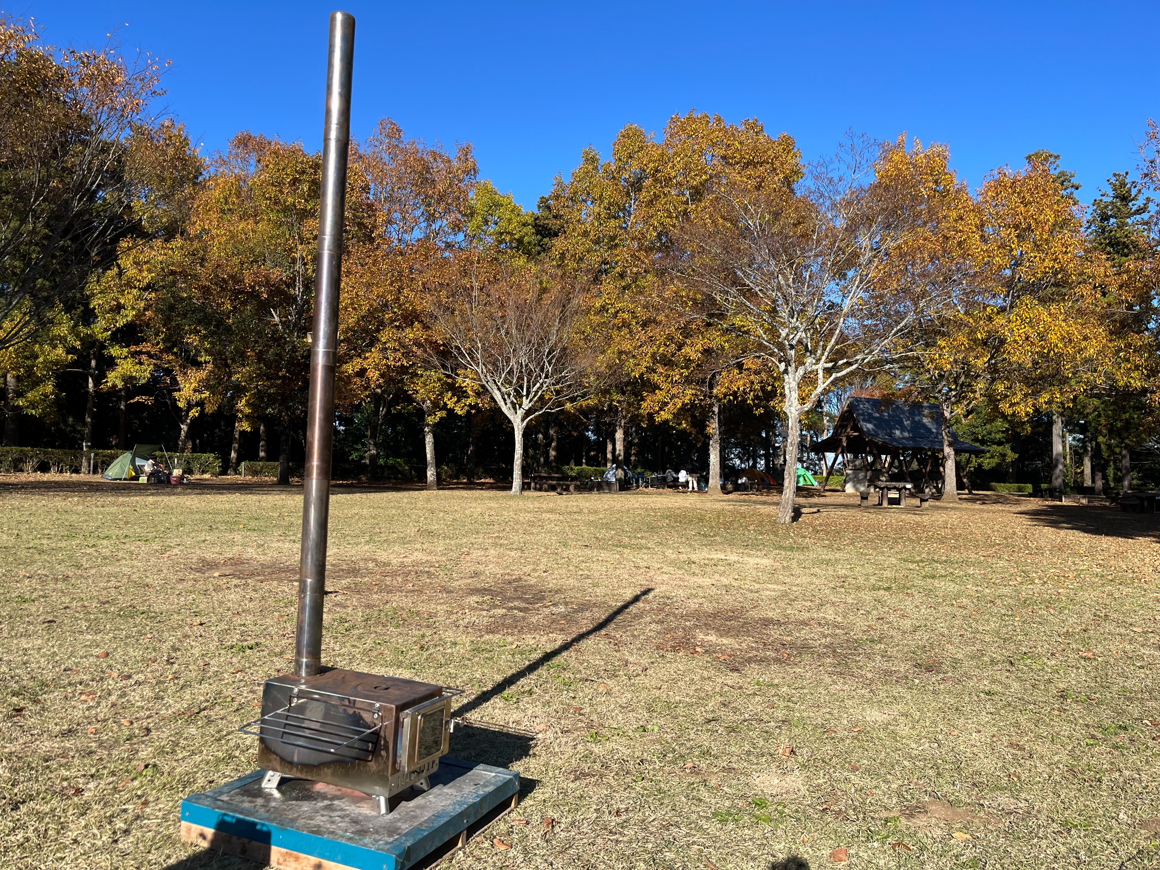 秋の公園