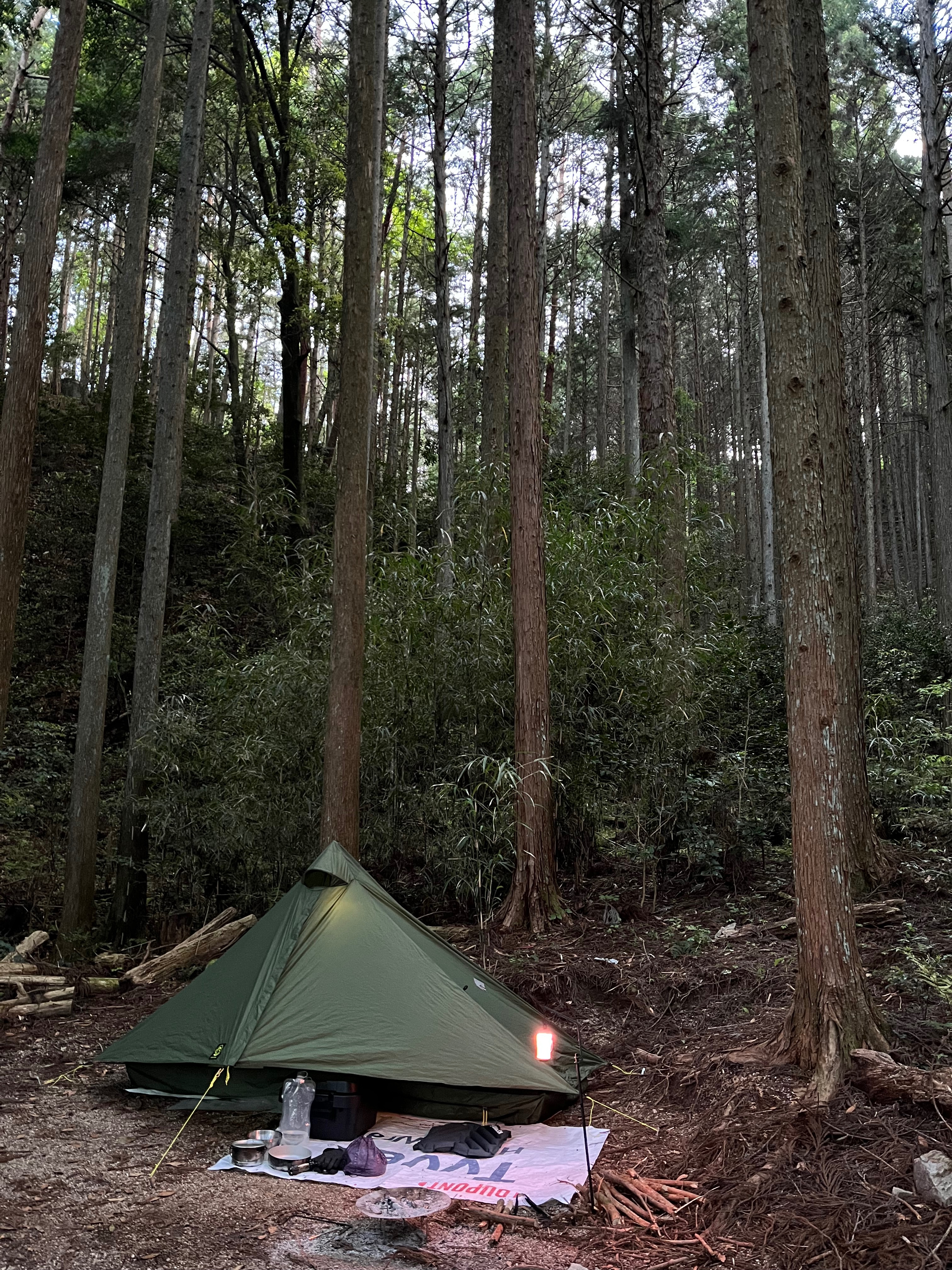 しらたかキャンプ場