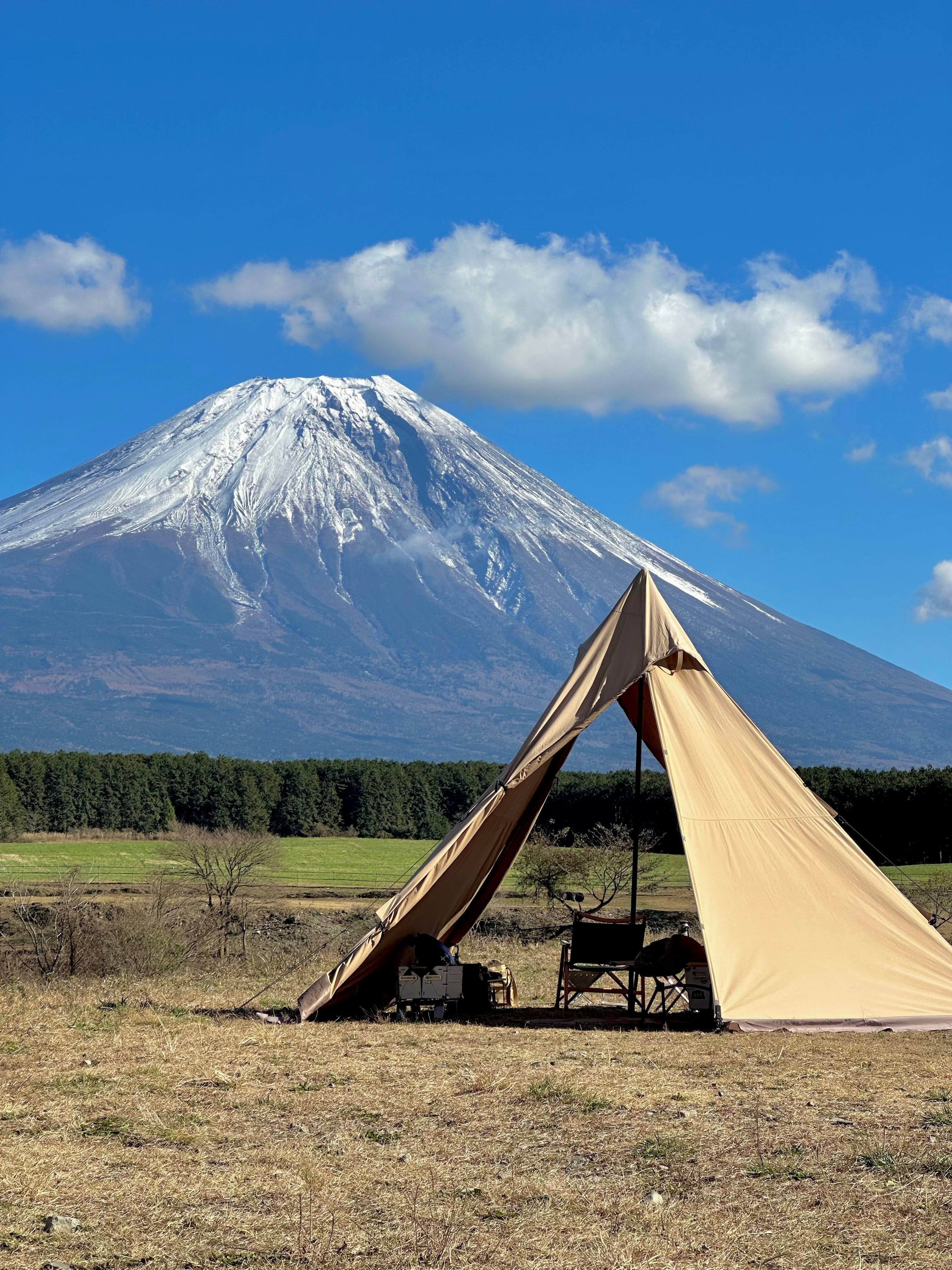 視界がぜんぶ富士山