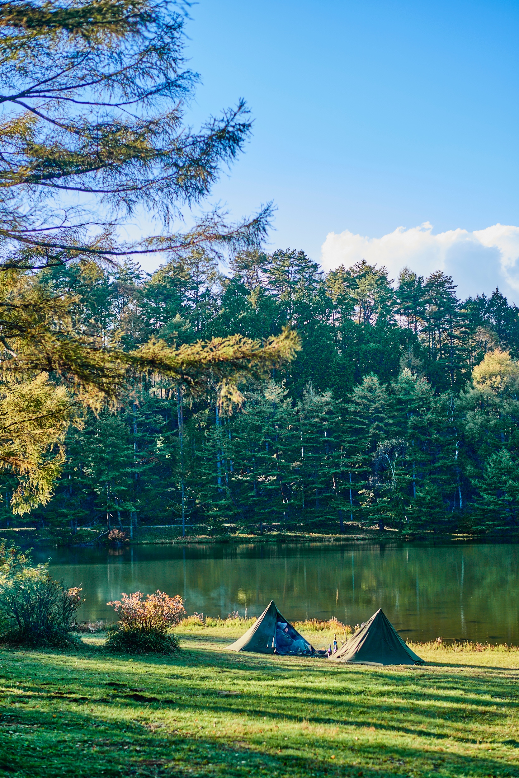 湖畔沿いの紅葉が素晴らしい絶景キャンプ場