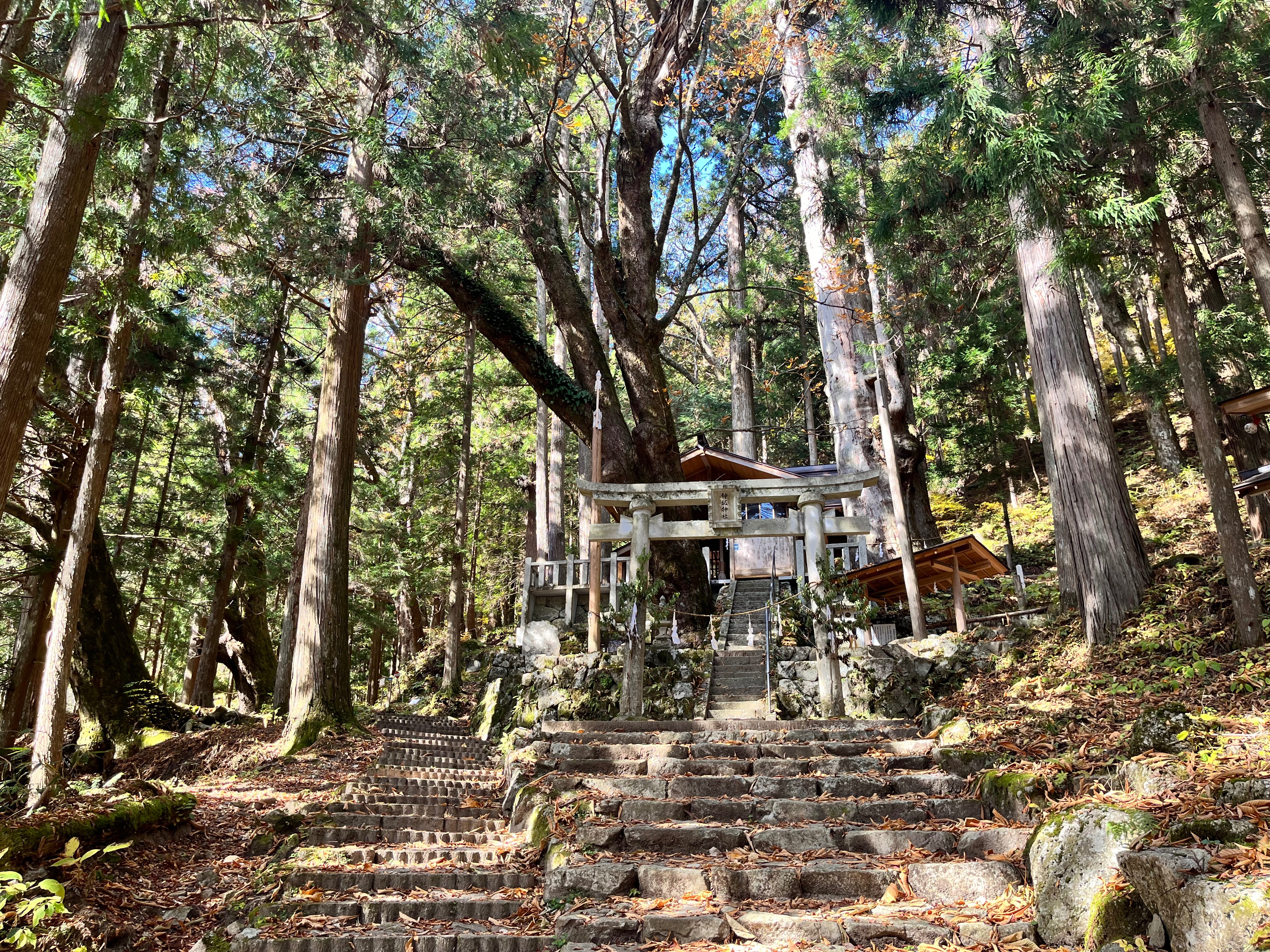 駒ヶ根キャンプ〜富士見台高原登山