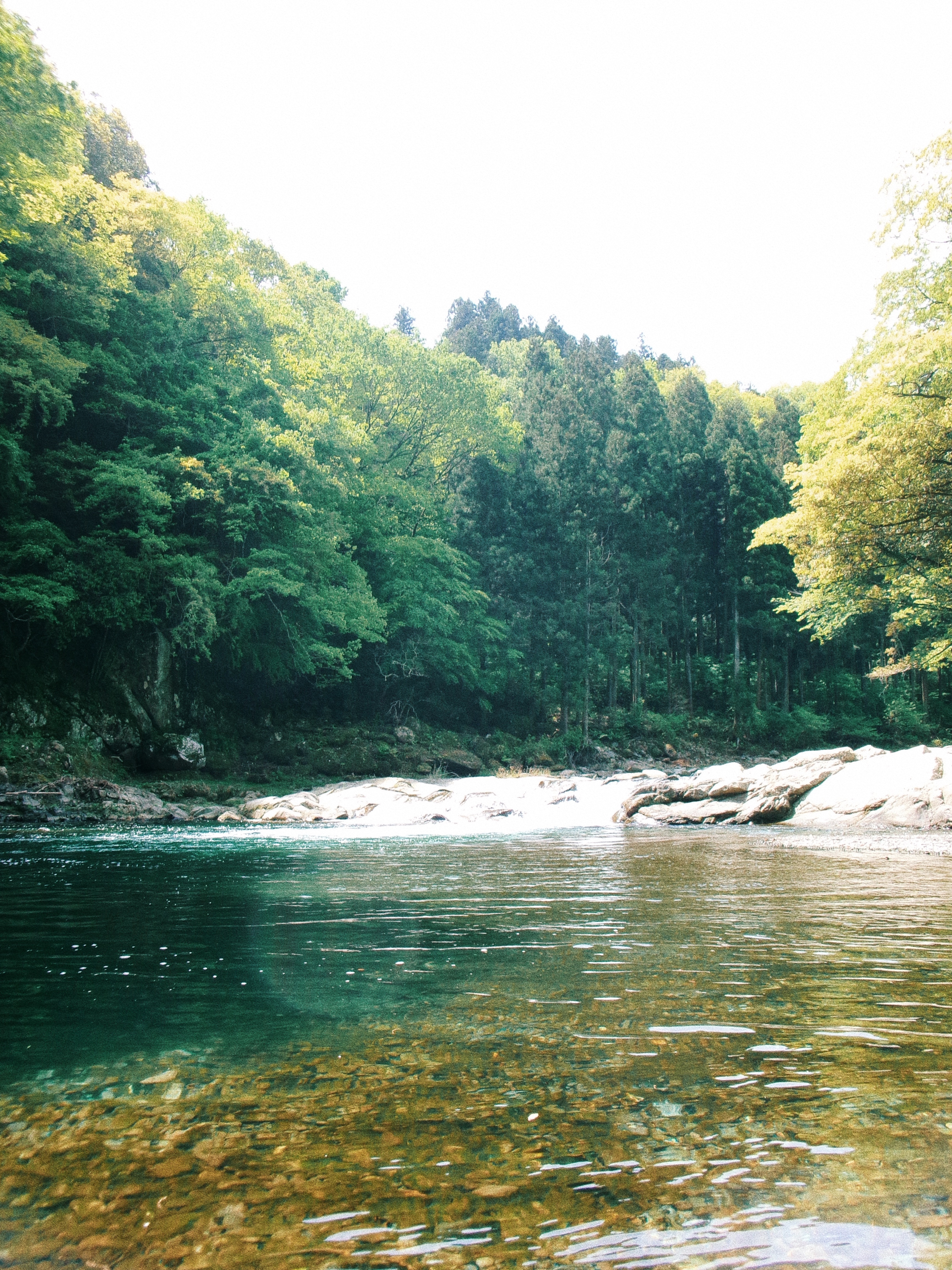 最高の水風呂でテントサウナを楽しむ