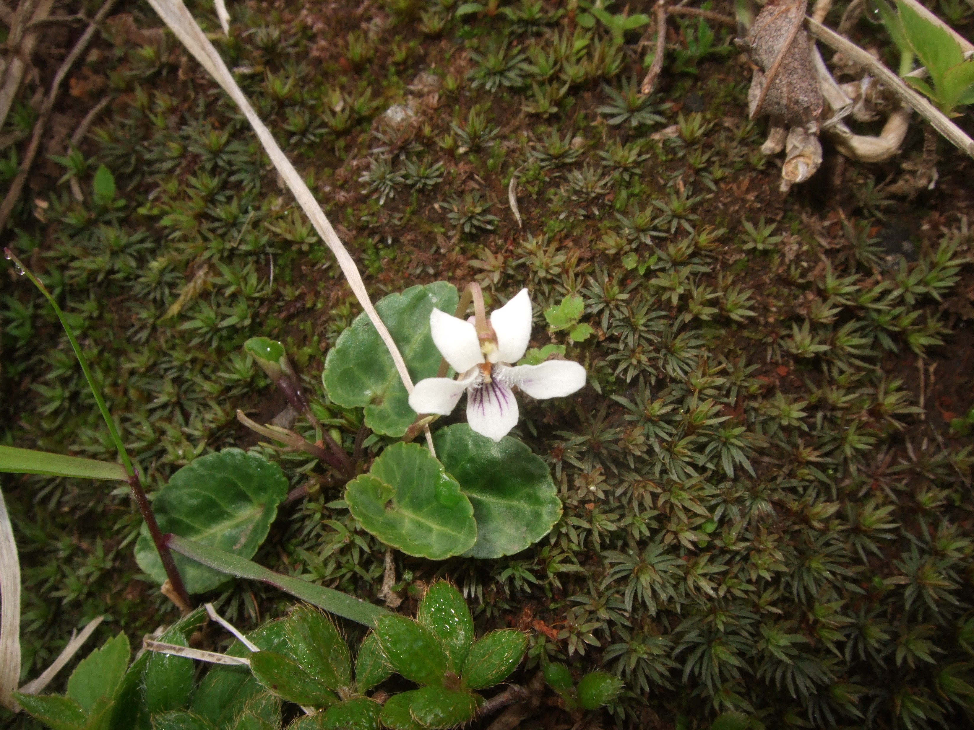 季節の花も色とりどり