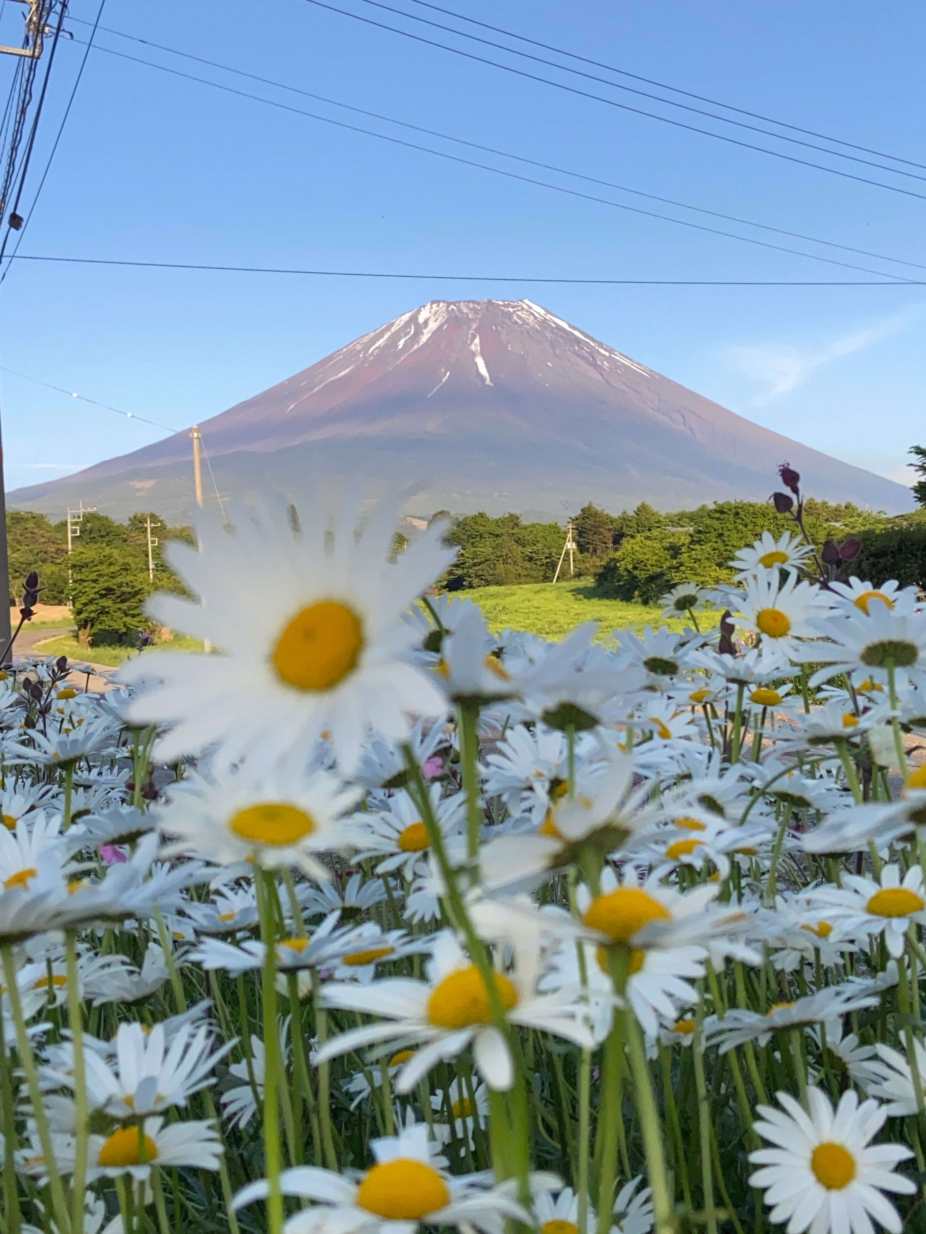 晴れてると☀️🗻