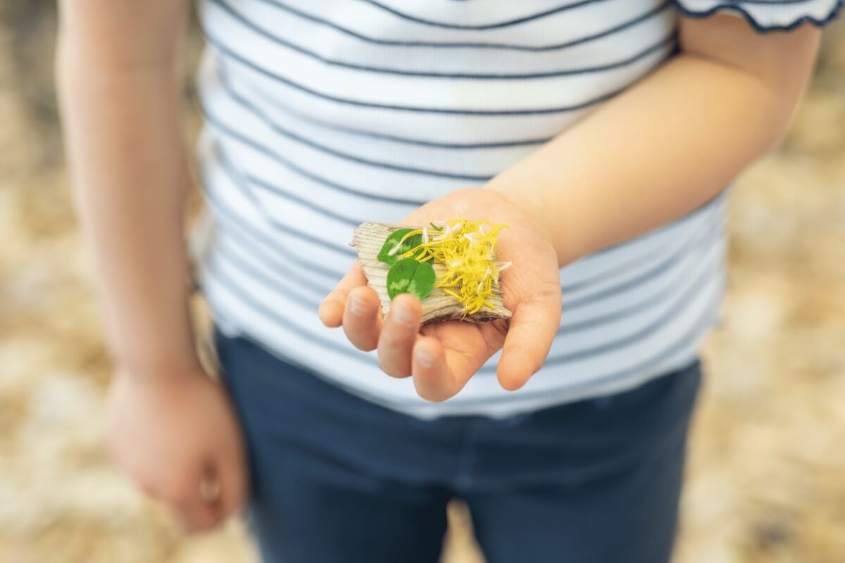 自然のなかで見つけた草花を手にのせている子ども